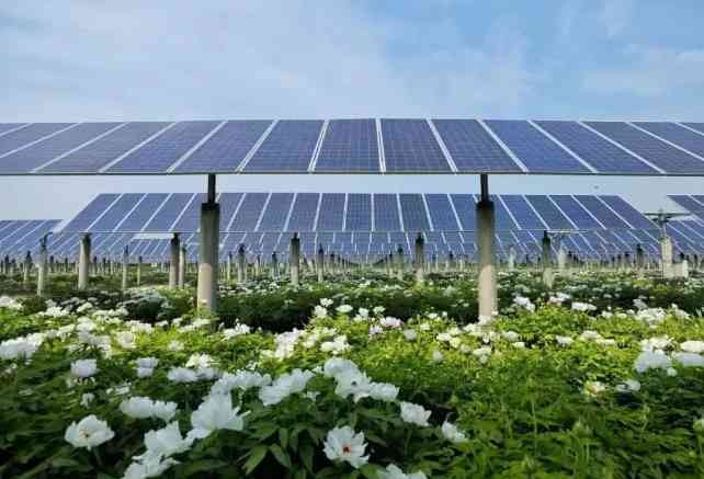 Concrete Single Pile Solar Mounting System
