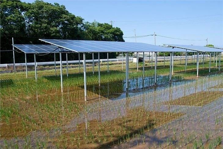 Large-Scale Solar Farm Mounting: Corrosion-Resistant Ground Racking Kit best