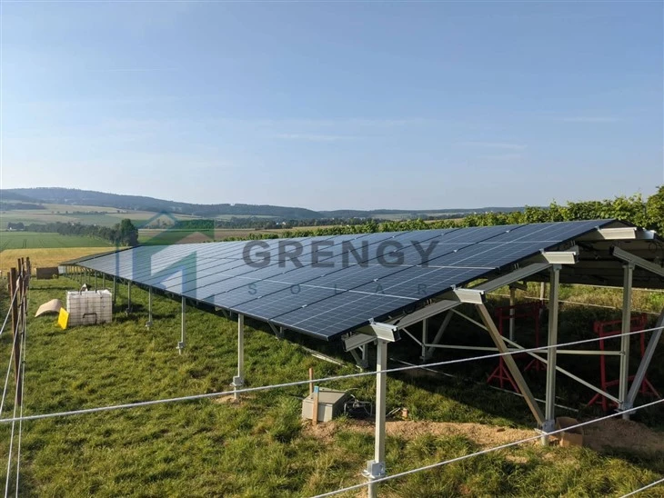 Solar Farm PV Agriculture Plant Mounting System